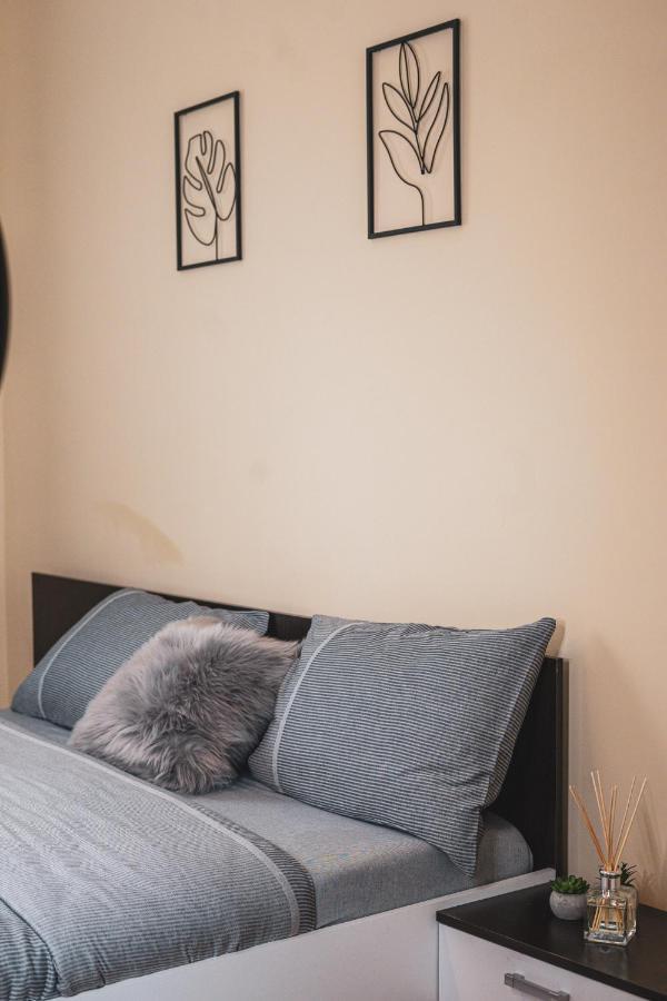 Central And Modern Apartment With Free Parking Timisoara Exterior photo