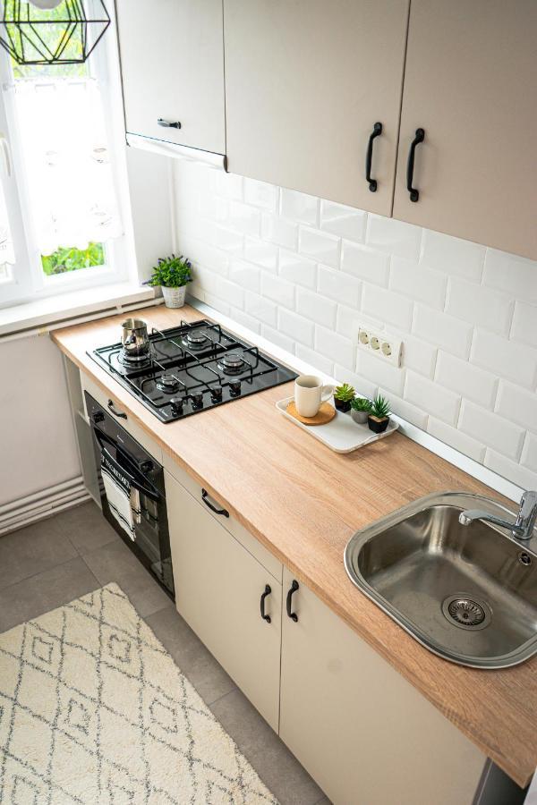 Central And Modern Apartment With Free Parking Timisoara Exterior photo